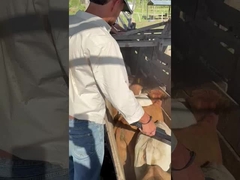 PT290 LF đọc thẻ tai bò đọc thanh RFID