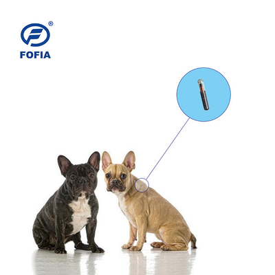 Chip nhận dạng động vật Pet ID Tag 11.5mm FDX-B Glasstag Đơn giản 15 chữ số số nhận dạng