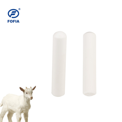 Nhãn nhận dạng động vật Bò Rfid Bolus Tag 134.2khz