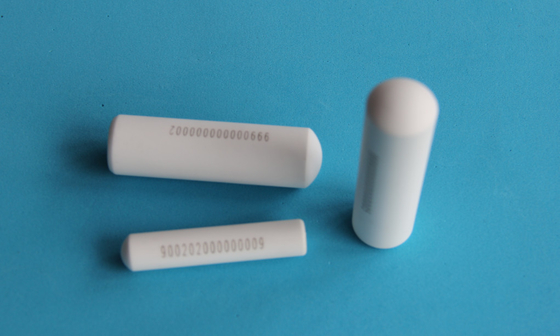 Nhãn nhận dạng động vật Bò Rfid Bolus Tag 134.2khz