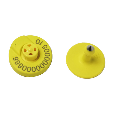 Tăng tối đa hiệu quả với thẻ tai RFID thẻ tai gia súc để nhận dạng gia súc