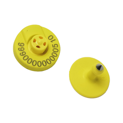 134.2 Khz Easy Yellow Electronic Ear Tags cho gia súc