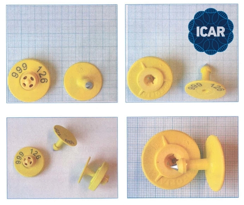 Nhãn tai điện tử được chứng nhận ICAR đầy đủ để theo dõi động vật hiệu suất cao với hỗ trợ đọc BLE