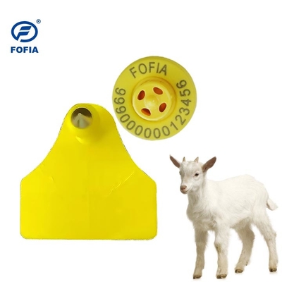 Nhãn tai cừu nhựa tùy chỉnh để nhận dạng cá nhân gia súc