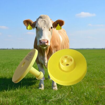 Nhãn tai điện tử bền cho xác định và theo dõi gia súc hỗ trợ quản lý trang trại và giám sát động vật