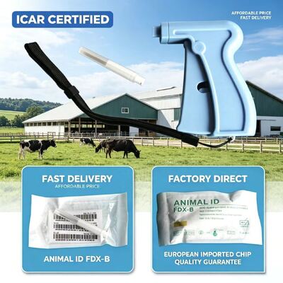 Chứng chỉ ICAR Vi mạch phát đáp ISO được thiết kế để liên lạc không dây và hiệu suất bền bỉ trong hệ thống ô tô và an ninh
