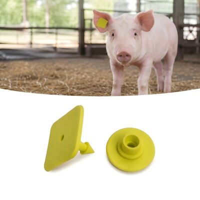 Validity More Than 5 Years Swine Ear Tags EPC Gen2 V2.0 Certified Tags Engineered For Durable And Swine Herd Traceability