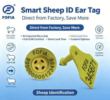 Thẻ tai TPU RFID được ICAR chứng nhận với lực căng 350N để nhận dạng và giám sát vật nuôi