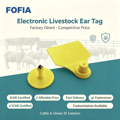 TPU Fofia ICAR T904 Nhãn tai gia súc cho bò, cừu, lợn, bò, dê