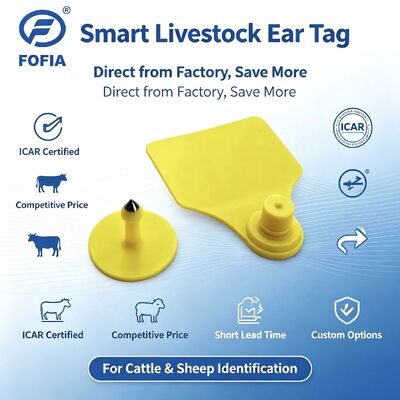 Thẻ tai động vật kết hợp Fofia T904 RFID TPU 72 * 57mm Mã hóa bằng laser Trang trại Gia súc Lợn Cừu Icar