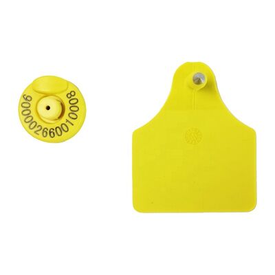 FULL ICAR Standard TPU Yellow Electronic Ear Tags Giải pháp quản lý gia súc tiên tiến