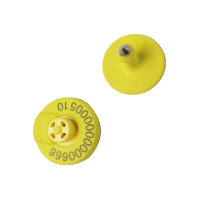 RFID FDX HDX Animal Electronic Ear Tags 134.2KHz Chăn nuôi Lợn Cừu Bò