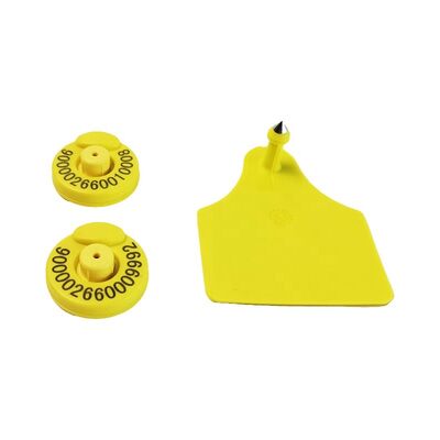 Thẻ tai chăn nuôi đa năng Fofia-Thẻ RFID TPU được chứng nhận ISO/ICAR Khoảng cách đọc 17cm cho quản lý trang trại dê gia súc