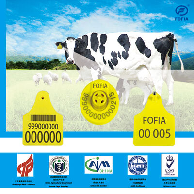 ICAR Long Range FDX / HDX RFID Ear Tags ISO 11784/5 Đối với gia súc