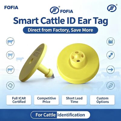 Full ICAR ET908+T901 RFID chống nước LF TPU thẻ tai động vật màu vàng 14.5mm EM4305 chip 5 năm bảo hành bò Fofia