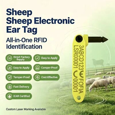 FOFIA Bền Chống Tích Hợp Chống Rụng Lông Điện Tử Mã Hóa T969 Cừu Vàng RFID Thẻ Tai Chất Liệu TPU Động Vật