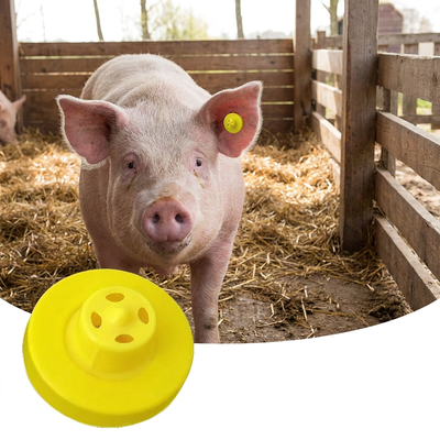 FULL ICAR 134.2KHz RFID Metal Ear Tag cho gia súc, heo và cừu Giải pháp nhận dạng động vật nâng cao