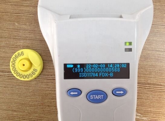 Bộ đọc cầm tay bền FOFIA PT580 RFID 125kHz/134.2kHz ISO11784/5 128x32 Màn hình OLED 10-20m Khoảng cách đọc USB / cho vật nuôi