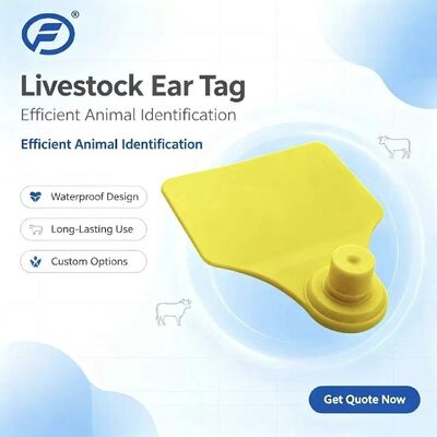 ICAR Fofia T904 chip thẻ tai động vật chất lượng cao RFID TPU Laser Coding 3 năm bảo hành sử dụng nông trại để theo dõi gia súc