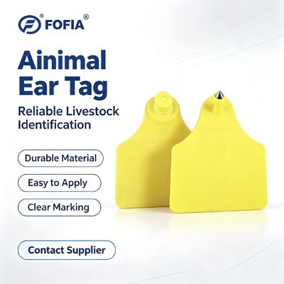 ICAR T904 + T905 Kết hợp thẻ tai động vật chất lượng cao mới RFID TPU 70 * 57mm Mã hóa laser 3 năm bảo hành sử dụng trang trại cho bò