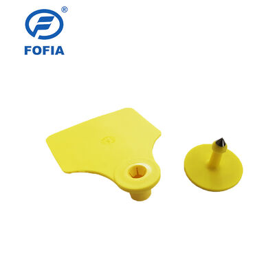 Thẻ tai động vật chống nước ICAR Fofia T904+T901 Chất lượng cao RFID TPU 72*57mm Mã hóa Laser Bảo hành 3 năm cho trang trại