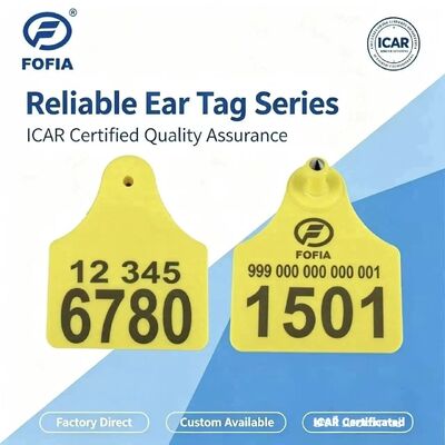 Thẻ tai động vật kết hợp ICAR T904+T905 Chất lượng cao mới Thẻ nhựa RFID TPU 70*57mm Mã hóa Laser Bảo hành 3 năm Theo dõi động vật