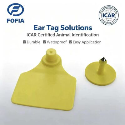 Chất chống nước bền ICAR Fofia T904 + T901 Chip thẻ tai động vật RFID TPU Mã hóa laser 3 năm Bảo hành Theo dõi gia súc