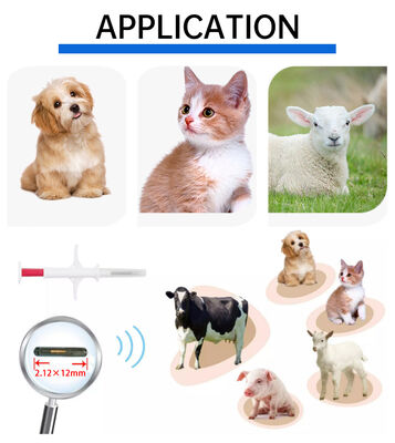 Không thấm nước Fofia Mới bán nóng RFID 134.2kHz PP Vật liệu ID chó Microchip Không thấm nước sử dụng nông trại Tiếng tiêm thú cưng 1,5 năm