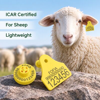 Fofia Full ICAR kết hợp Cừu dê Nhãn tai theo dõi điện tử mới chất lượng cao RFID TPU Mã laser nhựa 3 năm