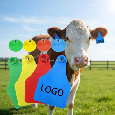 Fofia T921+T901 New Cattle Animal Tracking Ear Tag High Quality RFID TPU Plastic Chip Laser Coding 1.5 Year Warranty for Farm
