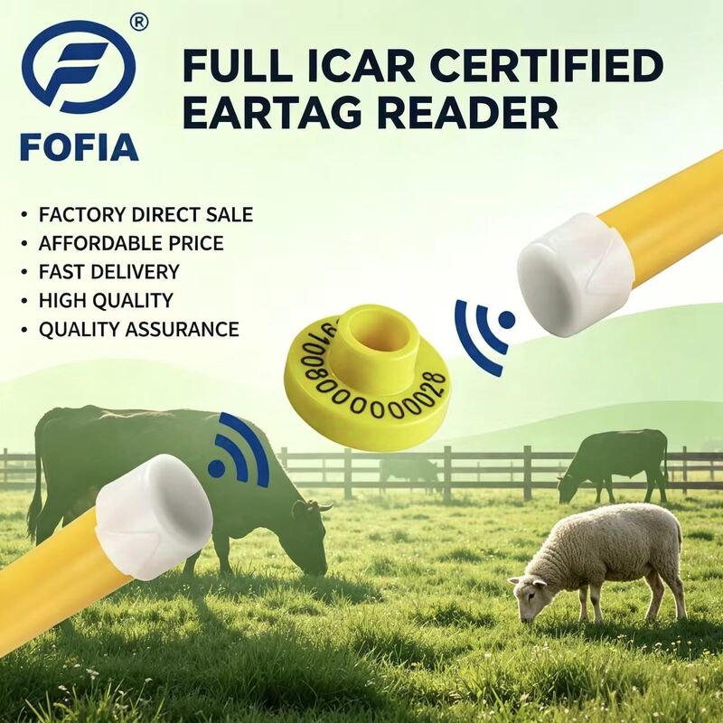 Nhãn tai điện tử được chứng nhận ICAR cho gia súc cung cấp các giải pháp nhận dạng và theo dõi cho quản lý trang trại