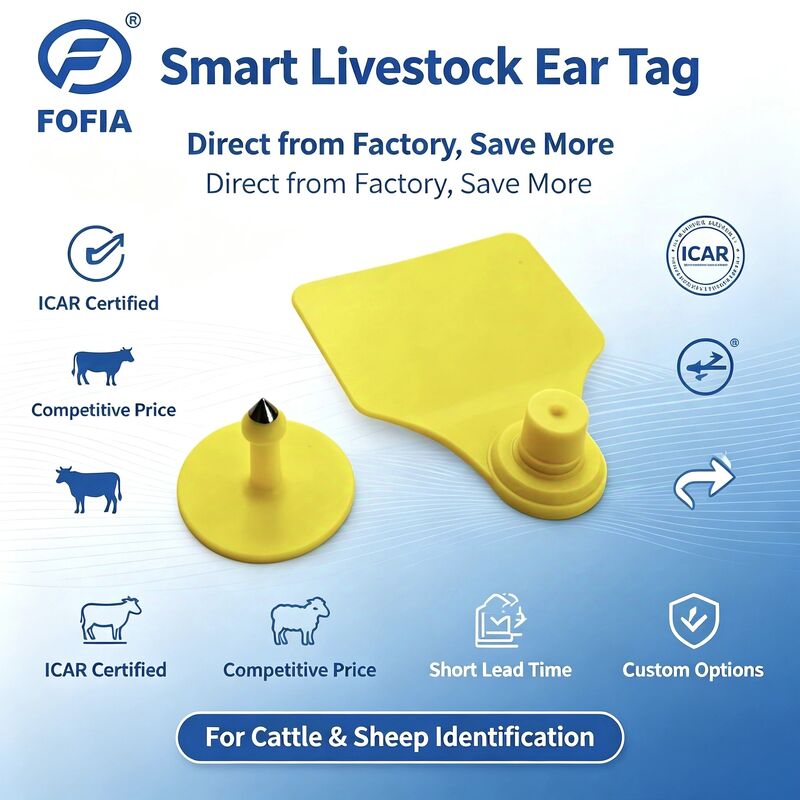 Thẻ tai động vật kết hợp Fofia T904 RFID TPU 72 * 57mm Mã hóa bằng laser Trang trại Gia súc Lợn Cừu Icar