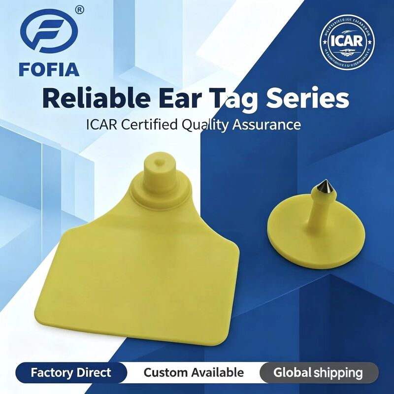 Thẻ tai động vật chống nước ICAR Fofia T904+T901 Chất lượng cao RFID TPU 72*57mm Mã hóa Laser Bảo hành 3 năm cho trang trại