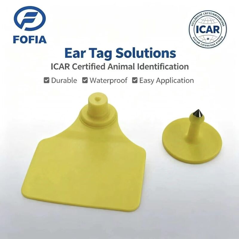 Chất chống nước bền ICAR Fofia T904 + T901 Chip thẻ tai động vật RFID TPU Mã hóa laser 3 năm Bảo hành Theo dõi gia súc