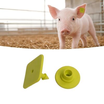 Thẻ tai lợn có hiệu lực hơn 5 năm Thẻ chăn nuôi in laser được thiết kế để dễ dàng nhận dạng và quản lý