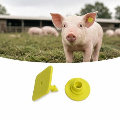 Nhãn tai động vật điện tử UHF TPU nhẹ 3,2 gram Nhãn nhận dạng để theo dõi và thu thập dữ liệu gia súc chính xác